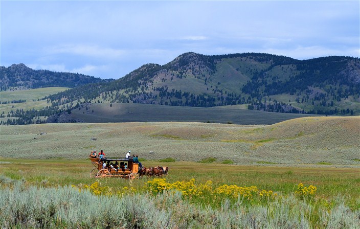 Here's one way to beat the traffic in Yellowstone